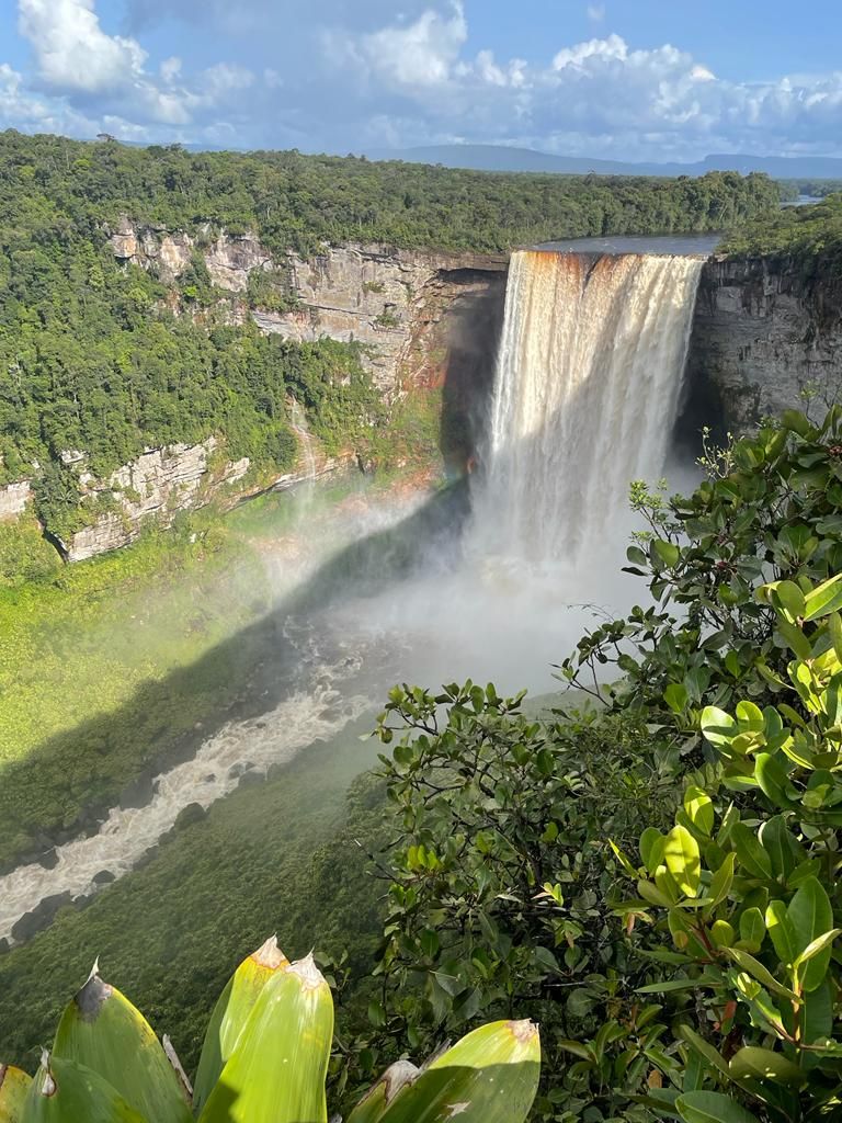 Kaieteur Falls — full height with mist and foliage